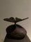 Oxalis Decorative Object in Patinated Bronze by Herma de Wit 2