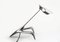 Barracuda Desk Lamp by Lucio Rossi 6