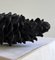 Bronze Patinated Pinecone Scent of Resin Decorative Object by Herma De Wit, Image 3