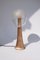 Mangaba Table Lamp by Clément Thevenot 2