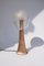 Mangaba Table Lamp by Clément Thevenot, Image 2