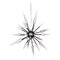 Lampada a sospensione Perseo 100 in metallo nero lucido di Alabastro Italiano, Immagine 1
