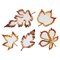 Specchi Fallen Leaves di InsidherLand, set di 5, Immagine 1