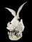 Escultura de porcelana con palomas de Lladro, años 70, Imagen 6