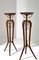 Tripod Side Tables in Mahoganyy, 19th Century, Set of 2 2