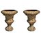 Large Florentine Ornamental Vases in Terracotta, Early 20th Century, Set of 2 1