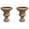 Large Florentine Ornamental Vases in Terracotta, Early 20th Century, Set of 2 7