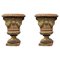 Large Terracotta Goblet Medicean Vases, Early 20th Century, Set of 2, Image 1
