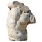 Torso Gaddi in White Carrara Marble, Late 19th Century, Image 1