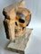 Sculpture Crâne, Italie, Début du 20ème Siècle 4