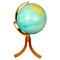 Globe Terrestre Vintage en Bois & Plastique 1