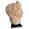 Classic Head, 20th Century, Terracotta 1