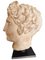 Classic Head, 20th Century, Terracotta 4