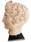 Classic Head, 20th Century, Terracotta, Image 4