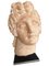 Classic Head, 20th Century, Terracotta, Image 2