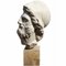Escultura italiana de principios del siglo XX Cabeza de Menelao en escayola, Imagen 4