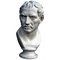 Plinio, Copia de una estatua romana, Principios del siglo XX, Cemento, Imagen 4