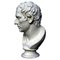 Plinio, Copia de una estatua romana, Principios del siglo XX, Cemento, Imagen 1