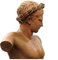 Early 20th Century Terracotta Torso Sculpture of Apollo, Image 2
