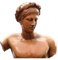 Early 20th Century Terracotta Torso Sculpture of Apollo, Image 3