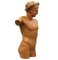 Early 20th Century Terracotta Torso Sculpture of Apollo 4