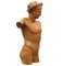 Early 20th Century Terracotta Torso Sculpture of Apollo, Image 4