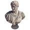 Busto de Caracalla de principios del siglo XX en terracota, Imagen 1