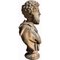 Busto de terracota de principios del siglo XX de Marco Aurelio, Imagen 4