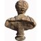 Buste Début du 20ème Siècle en Terre Cuite de Marco Aurelio 3