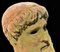 Zeus Di Capo Artemision, cabeza de terracota, Cronide, de principios del siglo XX, Imagen 2