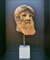 Zeus Di Capo Artemision, Terracotta Head, Cronide, Early 20th Century 4