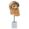 Zeus Di Capo Artemision, Terracotta Head, Cronide, Early 20th Century 5