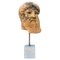 Zeus Di Capo Artemision, Terracotta Head, Cronide, Early 20th Century 1
