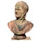 19th Century Original Italian Bust of Nerone in Terracotta 6