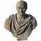 Julius Caesar Statue of the Vatican Museums, Early 20th Century, Terracotta 5