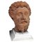 Early 20th Century Marco Aurelio Head in Patinated Terracotta 6