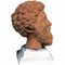 Early 20th Century Marco Aurelio Head in Patinated Terracotta 4
