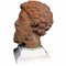 Testa di Marco Aurelio in terracotta patinata, inizio XX secolo, Immagine 5