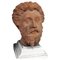 Early 20th Century Marco Aurelio Head in Patinated Terracotta 2