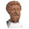 Early 20th Century Marco Aurelio Head in Patinated Terracotta 1