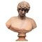 Antinoos Bitnia 130, Alexandria, Ägypten 150 n. Chr. von Publius Elio 5