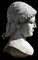 Busto de terracota de Apollo Di Piombino Del Louvre de principios del siglo XX, Imagen 2