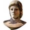 Busto de terracota de Apollo Di Piombino Del Louvre de principios del siglo XX, Imagen 3