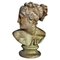 20th Century Italian Sculpture Venere Medici Head Begin in Terracotta 5