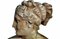 20th Century Italian Sculpture Venere Medici Head Begin in Terracotta 4