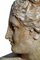 20th Century Italian Sculpture Venere Medici Head Begin in Terracotta, Image 3