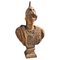 Grande busto di Atena in terracotta, inizio XX secolo, Immagine 1