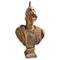 Grande busto di Atena in terracotta, inizio XX secolo, Immagine 4