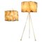 Floor Lamp and Suspension Lamp in Resin Finished in Aged Natural, Set of 2 1