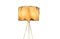 Floor Lamp and Suspension Lamp in Resin Finished in Aged Natural, Set of 2 9